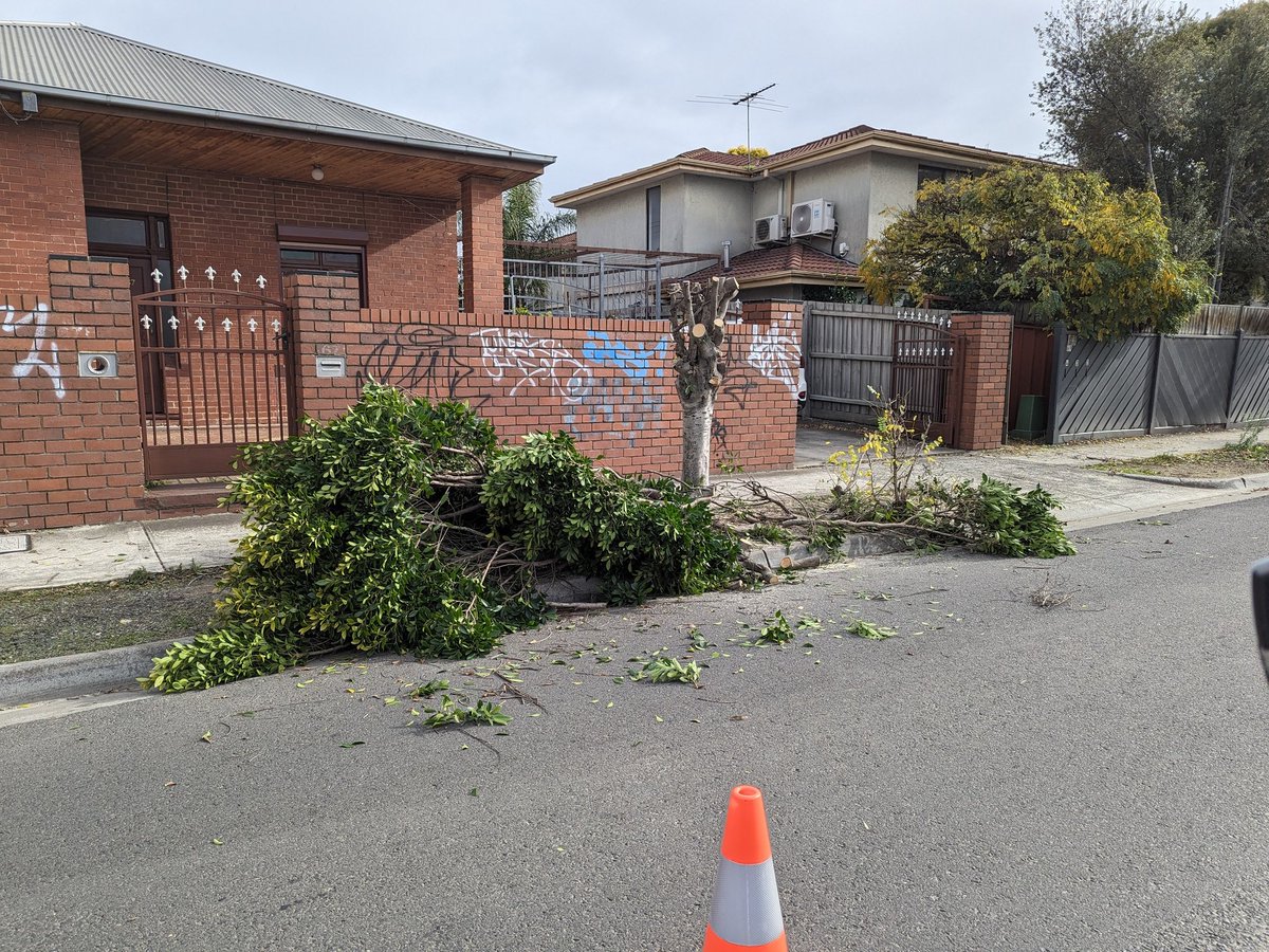 Serene Ho tweet media