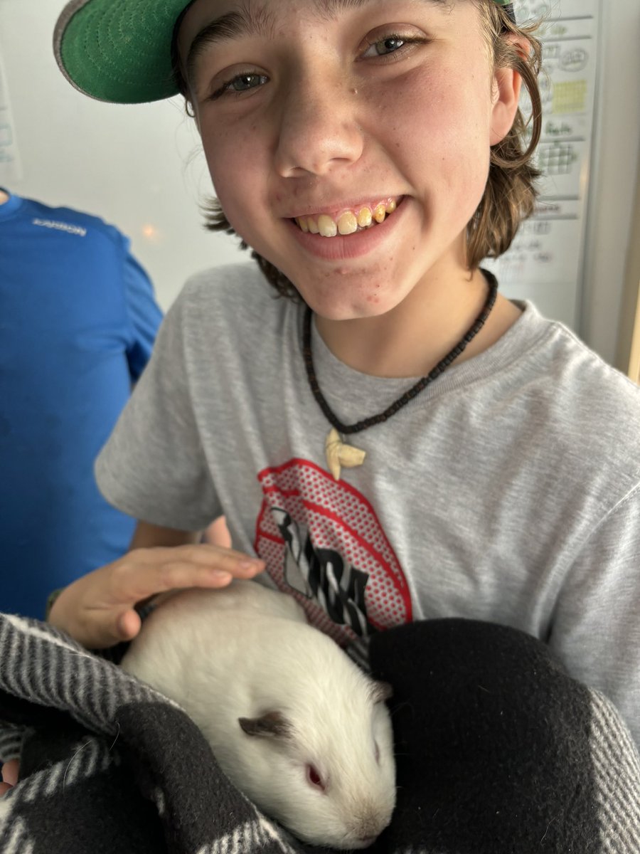 More excitement in 604 @GPVanierJH when Marshmallow and Lily came to visit!  Those smiles say it all 🥰
