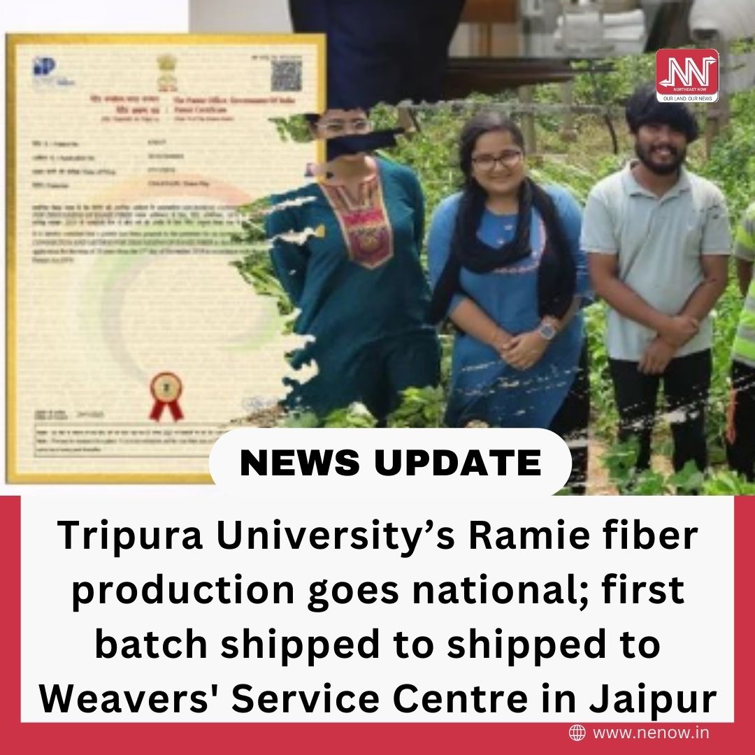 Ramie Fibre, one of the strongest natural fibers, has for almost a decade now been produced by the Tripura University for research purpose. The initiative introduced in 2015 has also seen the development of a patented microbial polishing process that has produced fine fibres out