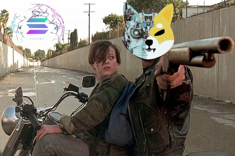 <a href="/wallstreetbets/">WallStreetBets</a> SHIB on SOL is ready.  We are the SHIB of the future ! <a href="/shibonsola/">The Cooler, FASTER, SHIB</a>
<a href="/ShibariumBull/">SHIB ARMY</a>
#CRYPTO #CryptoNews #cryptocurrencies #Memes #bullmarket  #SHIBONSOL
<a href="/1goonrich/">Quasar.Exe</a>
<a href="/ShibArmy/">SHIBArmy</a>
<a href="/ShibInformer/">SHIB INFORMER</a>
💫Lower Fees
💫Higher Volume
💫Greater Accessibility
💫Faster Transactions
💫Growing Ecosystem