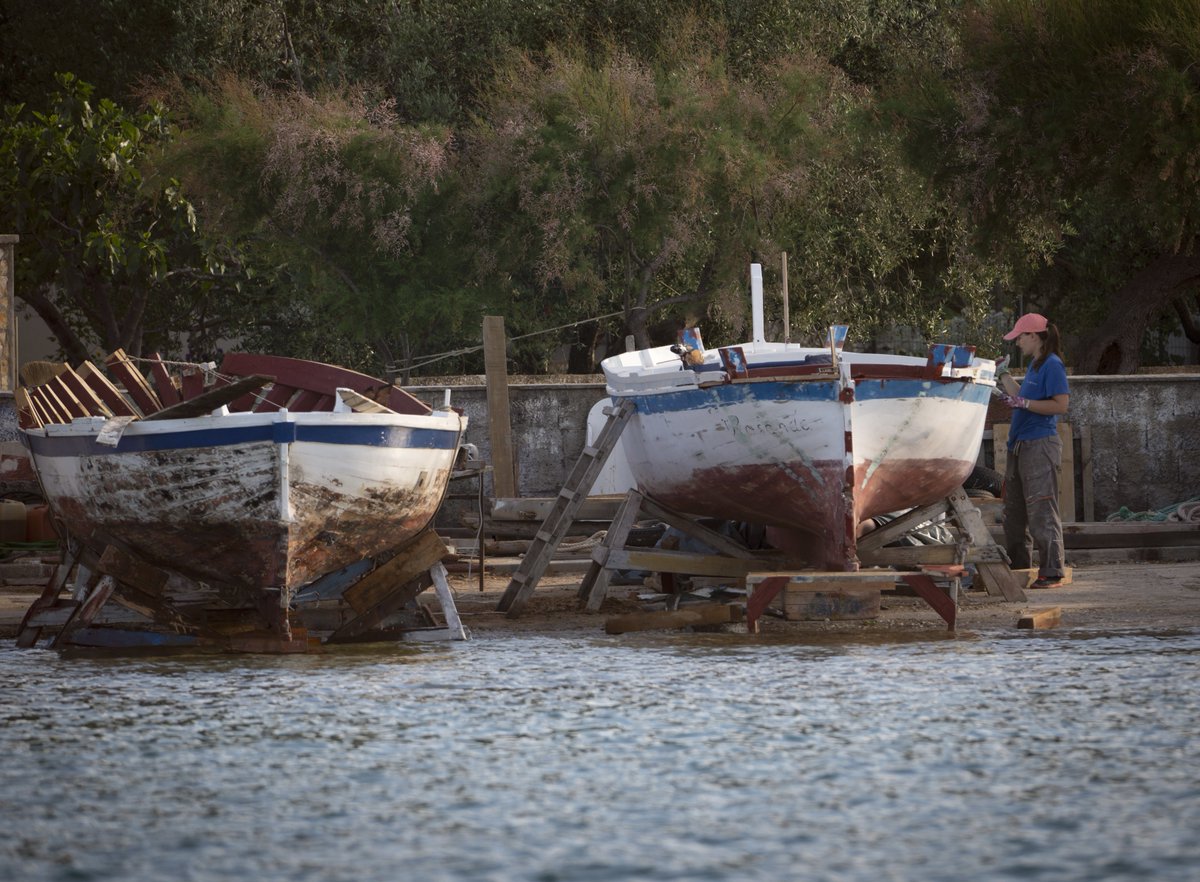 david_gange's tweet image. In Croatia to learn about thousand-year traditions of tiny rowboat ferries &amp;amp; the building of wooden boats. Using days off to swim between islands through two national parks (Telašćica/Kornati). Eleonora&apos;s falcons, red-backed shrikes, &amp;amp; whipsnakes. Dolphins in crystal seas.