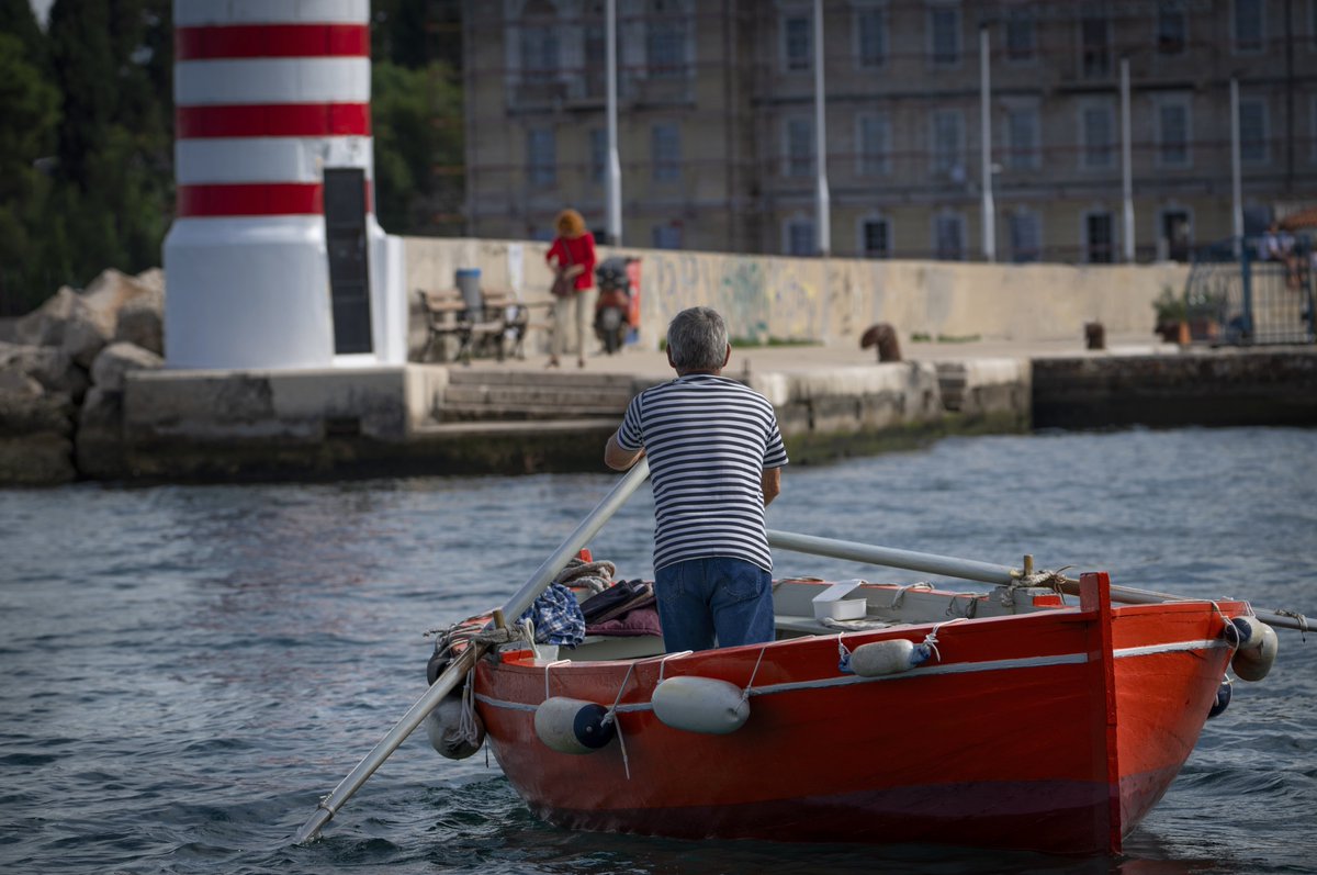 david_gange's tweet image. In Croatia to learn about thousand-year traditions of tiny rowboat ferries &amp;amp; the building of wooden boats. Using days off to swim between islands through two national parks (Telašćica/Kornati). Eleonora&apos;s falcons, red-backed shrikes, &amp;amp; whipsnakes. Dolphins in crystal seas.