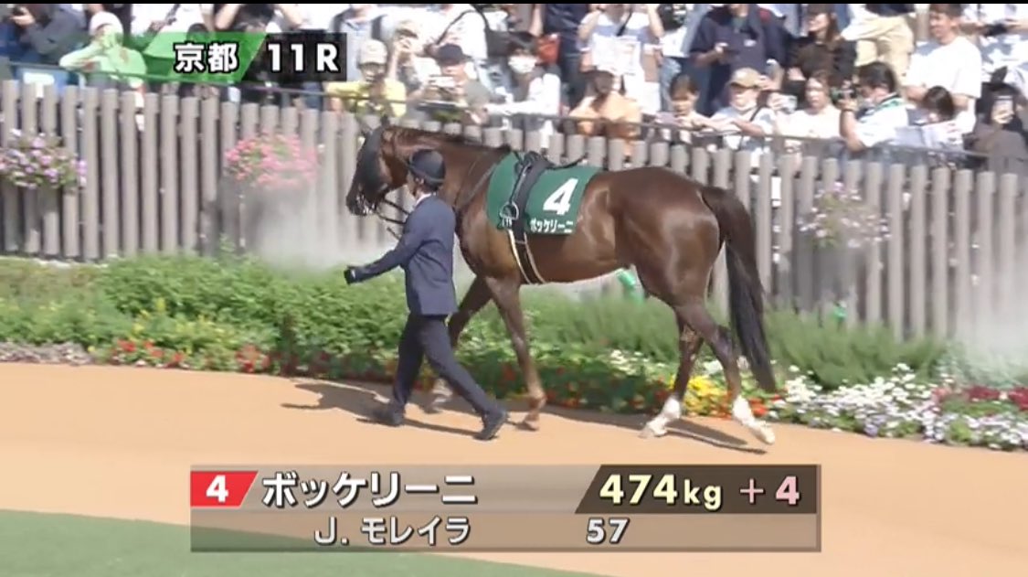 ホースエージェント・岡井塾長 tweet media