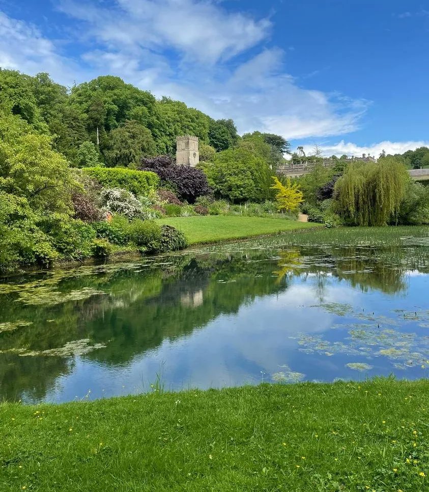 NTDyrhamPark's tweet photo. Happy weekend and it looks like a sunny one! Thanks to visitor Sarah G for sending us these lovely pictures from her recent visit. 🌞😎🌸

#WeekendGarden 
#SunnyGarden
#SunnyWeekend 
#WeekendAdventures 
#June https://t.co/bEctSqsHZm
