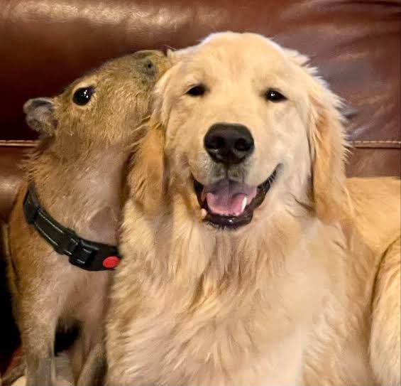 ormmormm's tweet image. 