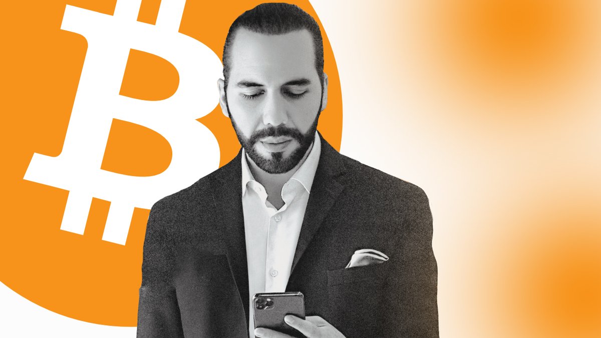 Bitcoin Cats tweet media
