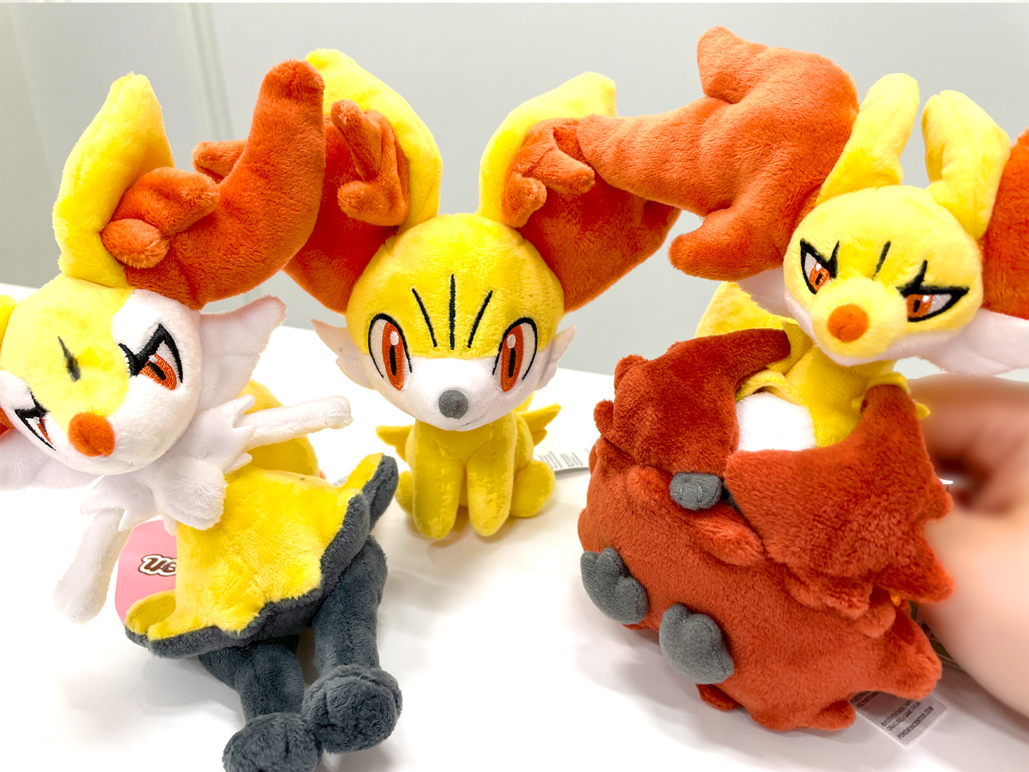 ポケモンだいすきクラブ編集部【公式】 on X