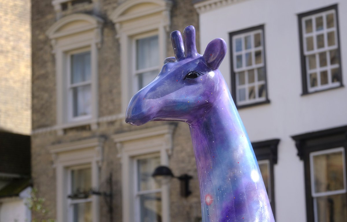 Cambridge Standing Tall (@breaktrailcambs) on Twitter photo It's the final pop up shop in the <a href="/Grand_Arcade/">Grand_arcade</a> and <a href="/TheLionYard/">The Lion Yard</a> tomorrow and with every Tiny G figurine or three raffle tickets you'll get a free tote bag!
We hope to see you! 😍
For a short time our online only range is still available here tinyurl.com/7er5e2ws It's the final pop up shop in the <a href="/Grand_Arcade/">Grand_arcade</a> and <a href="/TheLionYard/">The Lion Yard</a> tomorrow and with every Tiny G figurine or three raffle tickets you'll get a free tote bag!
We hope to see you! 😍
For a short time our online only range is still available here tinyurl.com/7er5e2ws