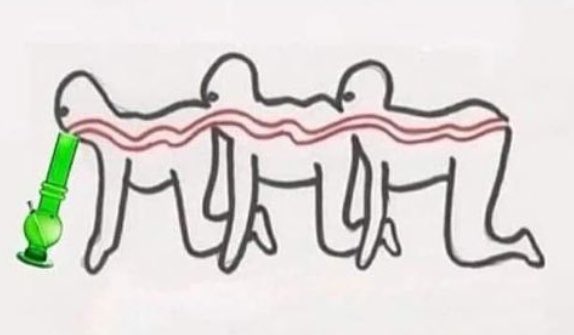 WeirdBongs's tweet image. Me and who and who