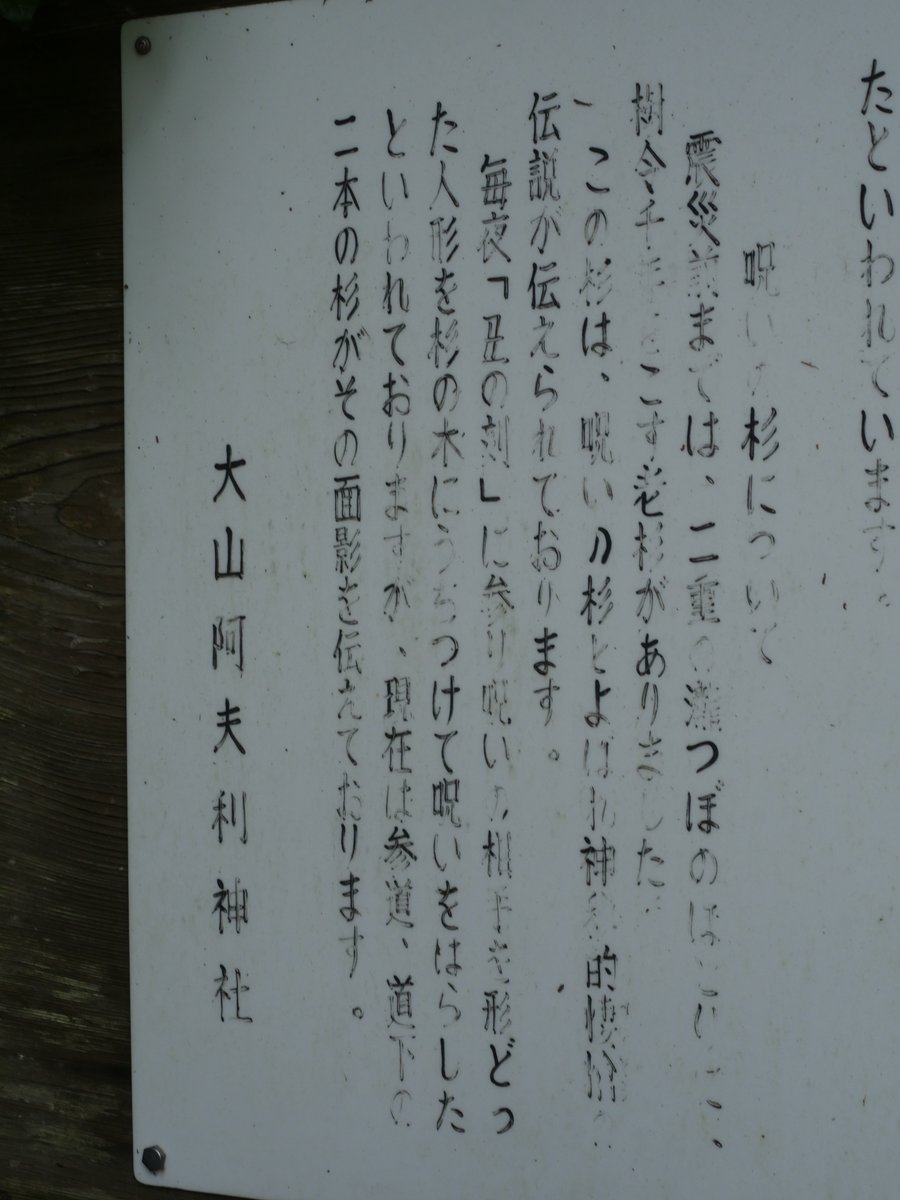 見晴らし台に向かう途中に滝があり。このすぐ脇に丑の刻参りに使われたという杉の木が、、、ヒエッ！ #GH4 #大山