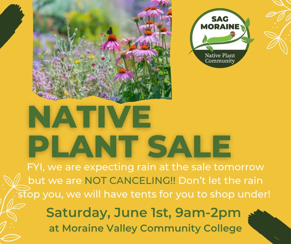 SagPlant's tweet photo. Hi, everyone! Heads up, we are expecting to have some rain tomorrow at the plant sale, but we are NOT CANCELING! We will have tents to keep everyone dry while they shop.
#NativePlants #PlantSale #SummerShowers #KeepingDry #RainOrSunItsStillFun #WereNotWetWereDewy https://t.co/MK9CkBXnoy