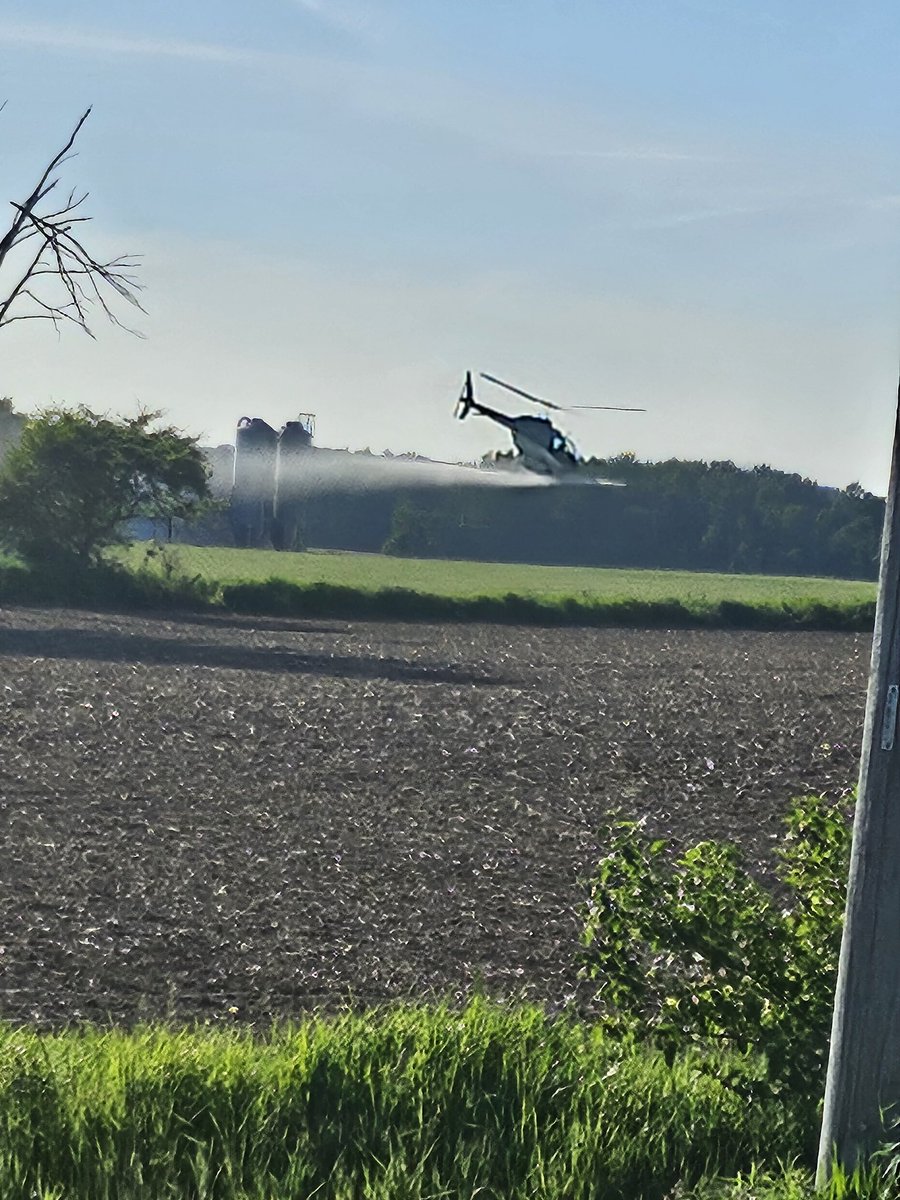 Aerial fungicide application on our #wheat today. Just too darned wet to put equipment in the field. Koodos to the pilots who have the kojones to fly like this. Looks like a roller coaster ride to me!