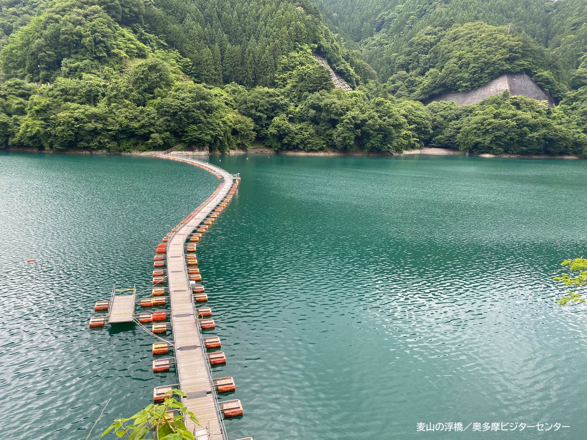 【#通行再開】
本日2024年6月1日より、#麦山の浮橋 が通行を再開しました！
2023年12月8日から約半年間、通行止めでした。大変お待たせいたしました。
浮橋を楽しむ方、#三頭山 へ行かれる方、ぜひお気をつけて。
#奥多摩　 #奥多摩ビジターセンター