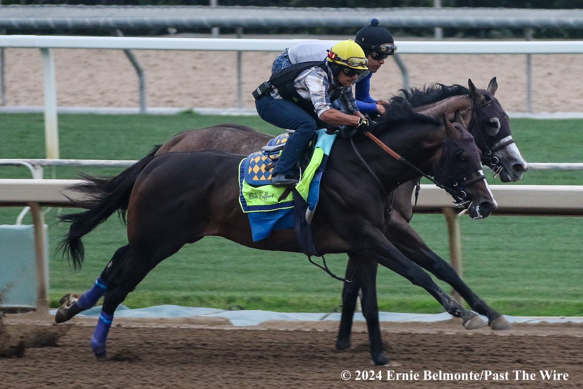 Imagination (outside, 6F: 1:11.40 H) working this morning in company with Cornell (inside, 6F: 1:11.40 H).