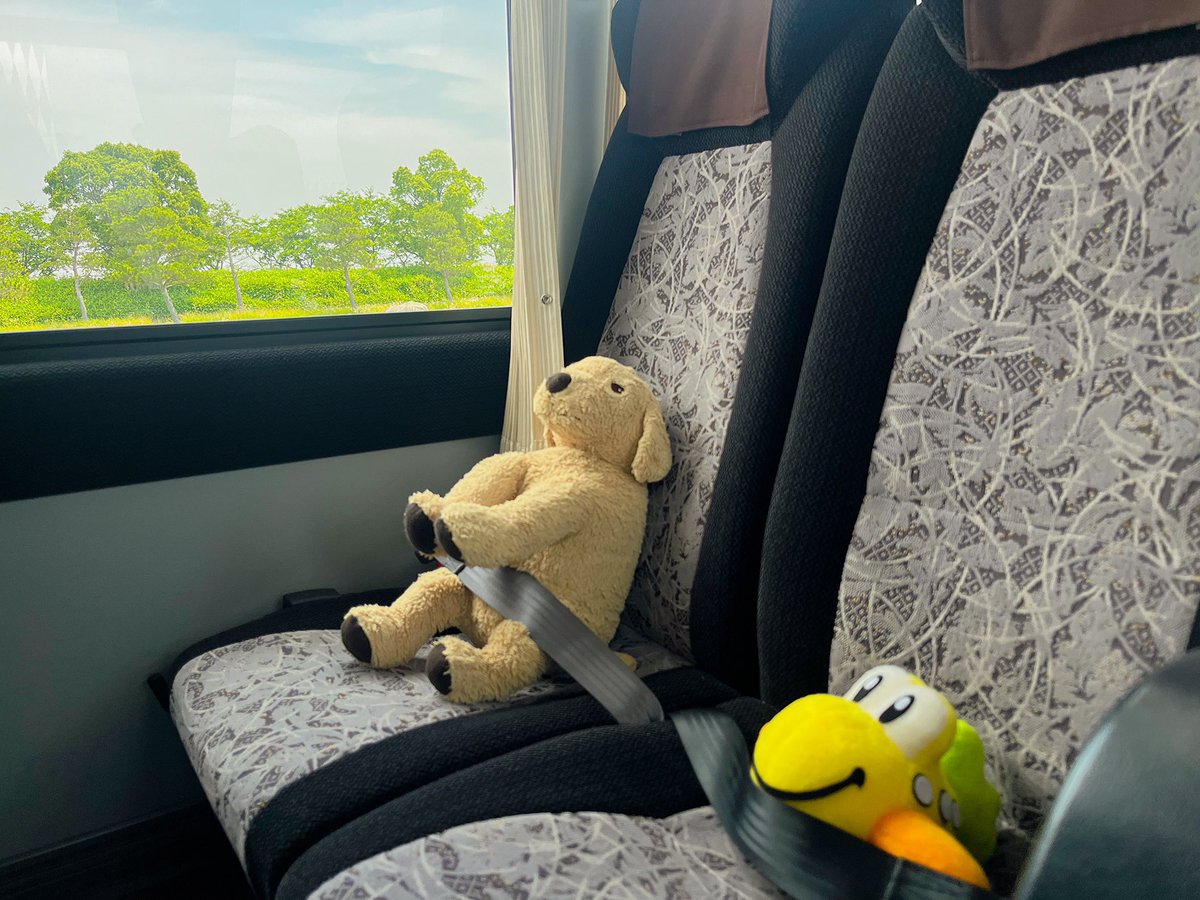 ちゃんとシートベルトするポコ！
#DSPM旅行部佐賀
