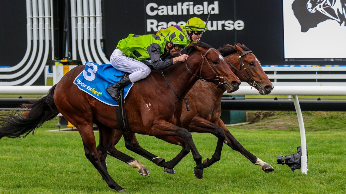 A Blue Point (@DarleyAus) quinella in the Caulfield Thoroughbred Club Races opener. Interest Point and @jamieleemott stave off the Blue Renegade challenge to claim the Dexion Victoria Handicap for @brideoakeracing & Matt Jenkins.
