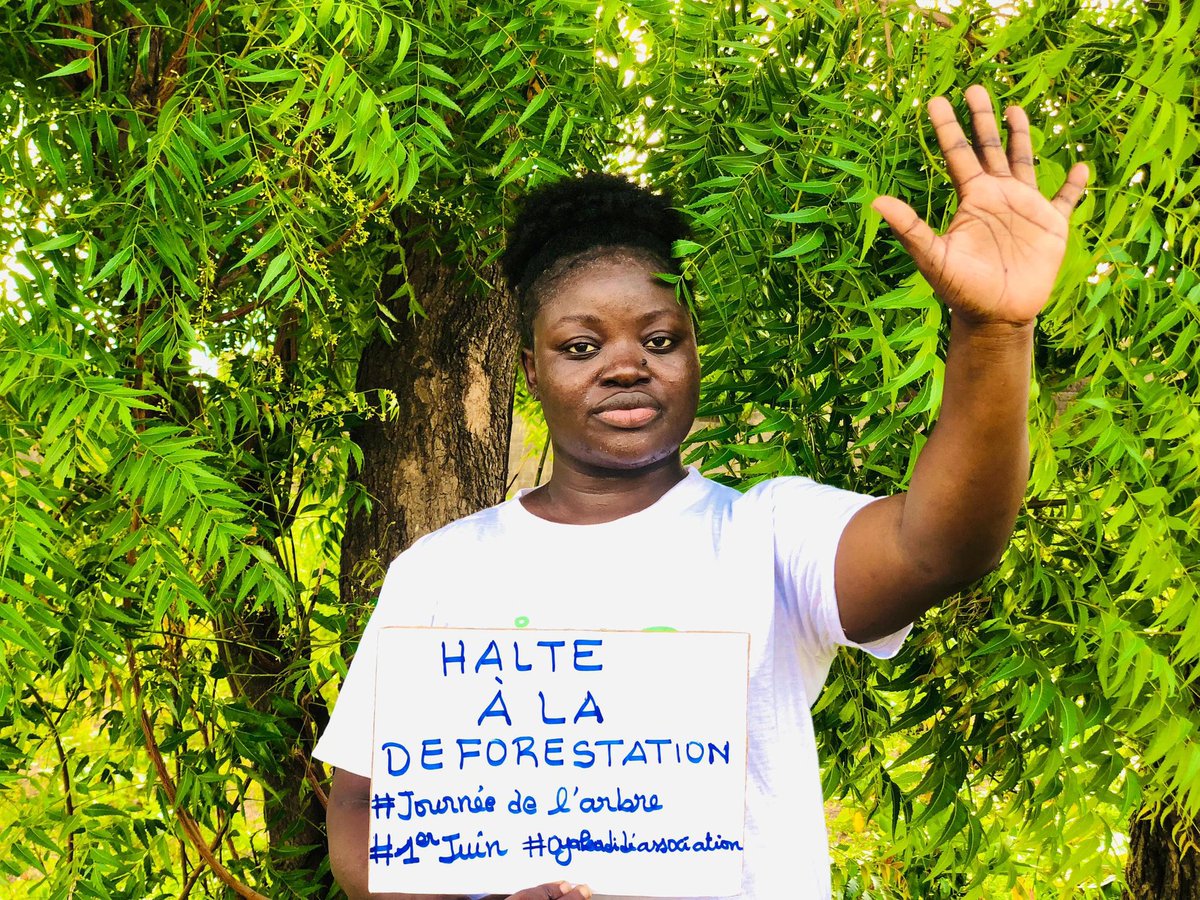 OYAKADIDE's tweet photo. #1erjuin,Journée Nationale de l’arbre.
Halte à la déforestation!!!
Nous sommes #ecocitoyens et #ecocitoyennes.Et toi?😎🥳🥳🥳
#3jours d’#activisme en faveur de l’#environnement .C’est du 30 Mai au #1erjuin.Vous pouvez toujours nous rejoindre.Nous vous attendons...
#amazone💪 https://t.co/r7jAF7hf85