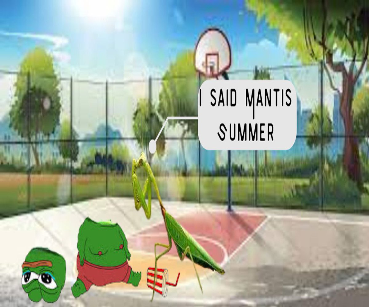 <a href="/JakeGagain/">JAKE</a> Bro you are not fkn lying. Check $MANTIS and you’ll see. @Mantis_onSOL t.me/mantismeme

HFvxG38Ua6gQC3n7KXrWCg7i2uPypZLSeu3BgZZxzdsA

#solana #memecoins #pepe $jenner