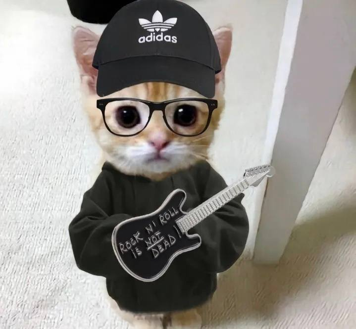 KichiBase's tweet photo. @henokcrypto Life changing gains inbound with Kichi! https://t.co/UQX55NRFu9