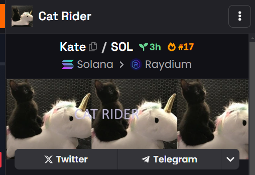 CatRiderCTO tweet media
