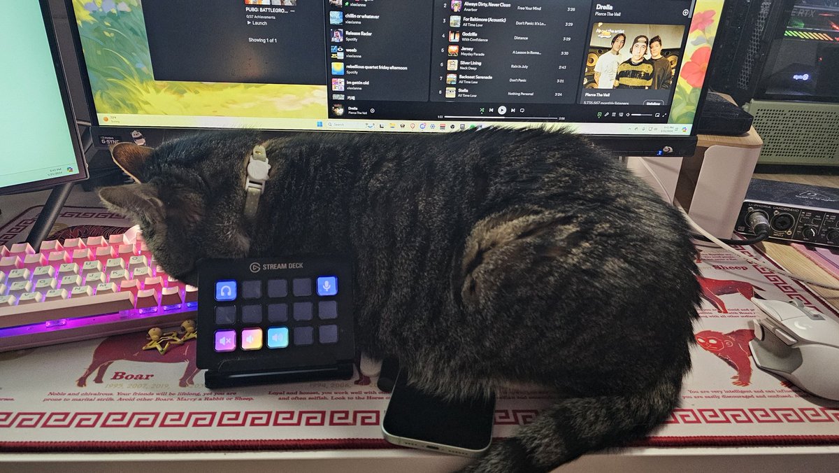 Content from elabunny