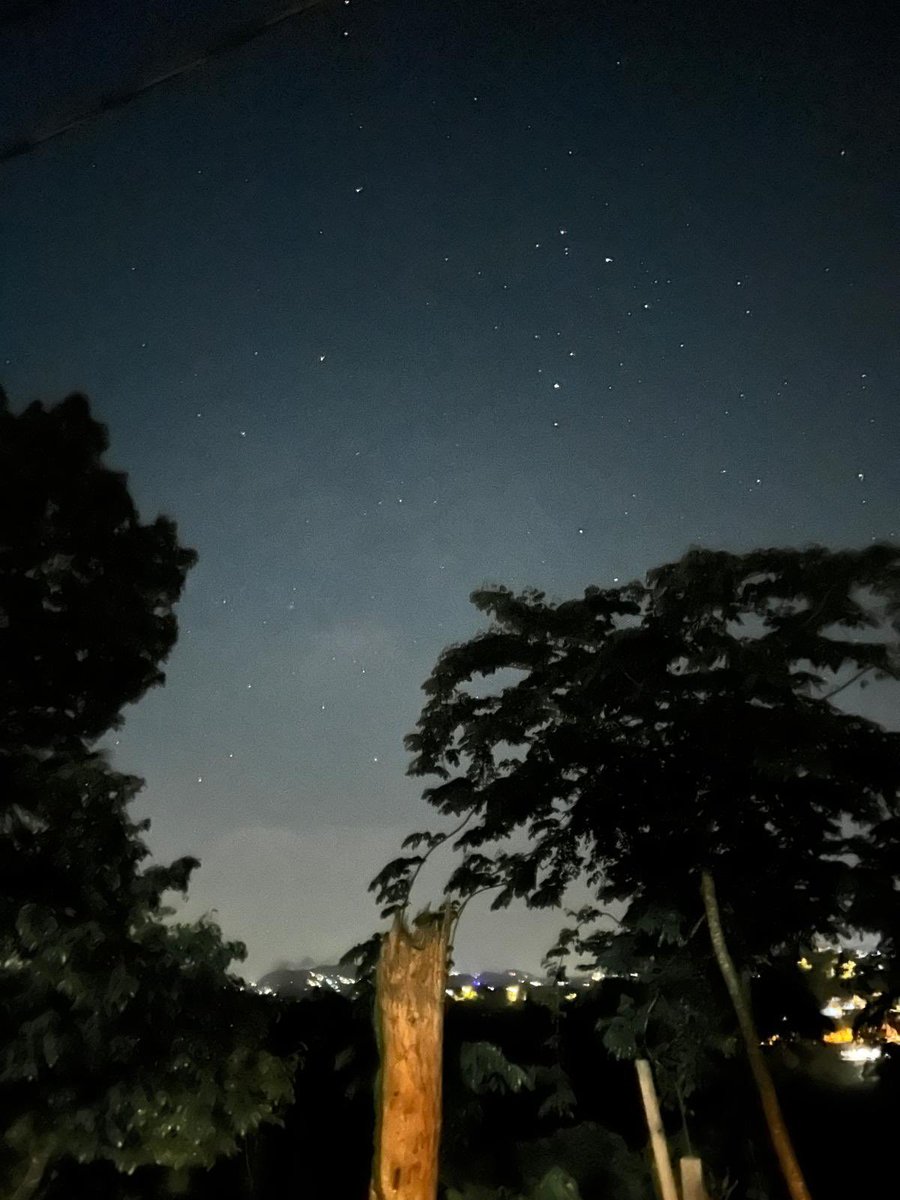 Me fui a la jungla a buscar cocos…