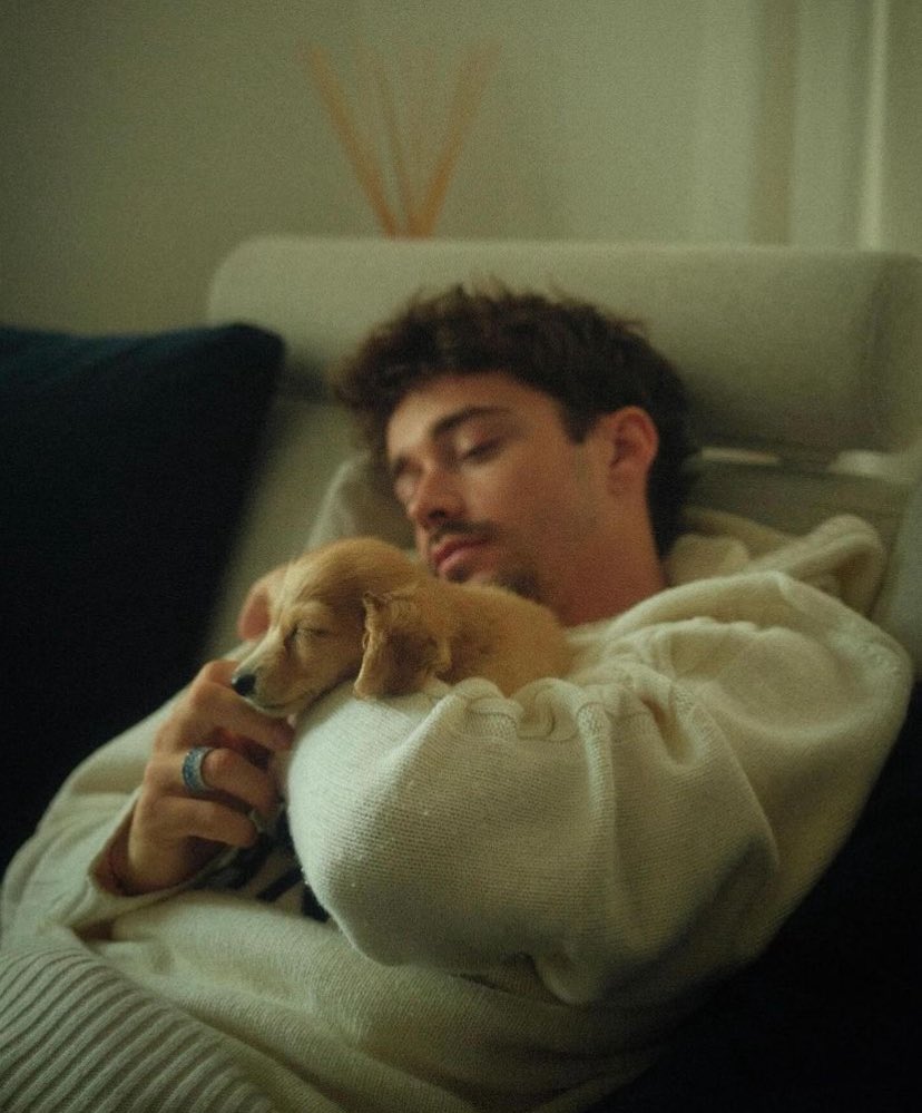 1Charlesslec6's tweet photo. I’m a daddy now 🐶❤️ https://t.co/veL7YOWwjY