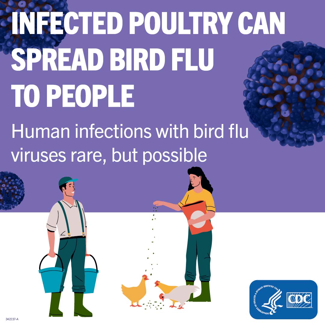 How CDC is monitoring influenza data to better understand the current avian influenza A (H5N1) situation in people  hubs.li/Q02yw7q00

#assuaged #vegan #plantbased #studentinterns #publichealth #beyourhealthiest