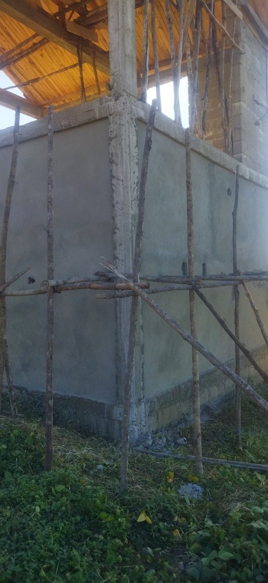 Paradise Square 🏝️ 94% MINTED🔥 tweet media