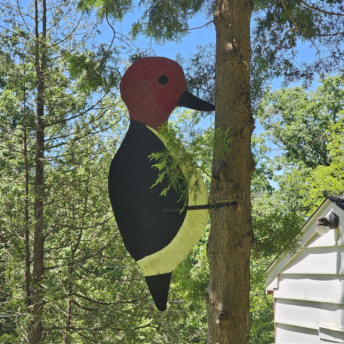 bombsfall's tweet image. went to a camp full of powerful relics