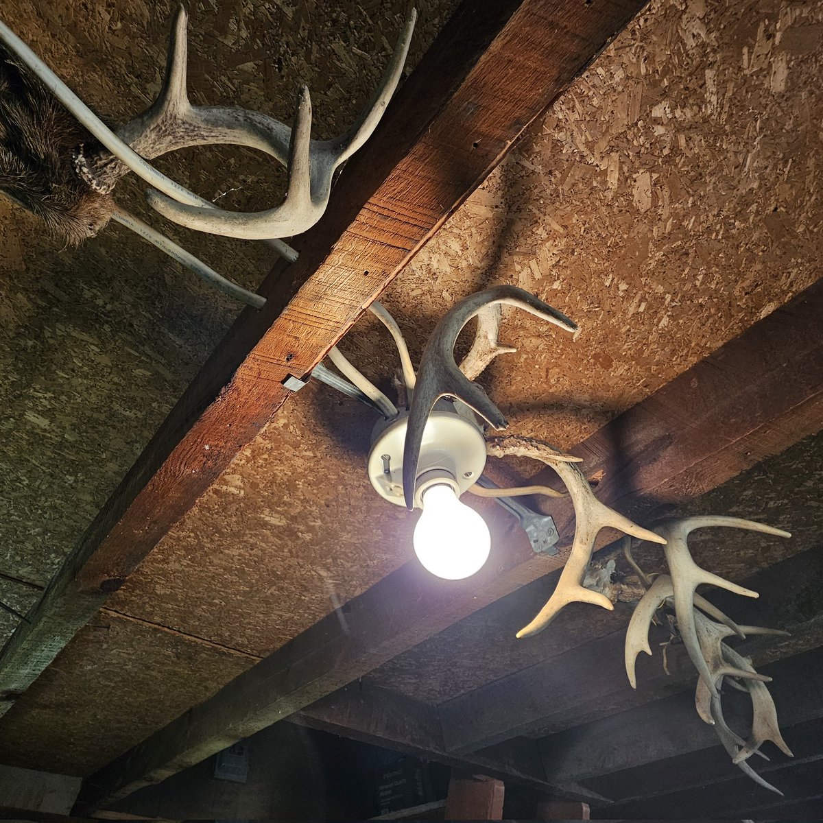 bombsfall's tweet image. went to a camp full of powerful relics