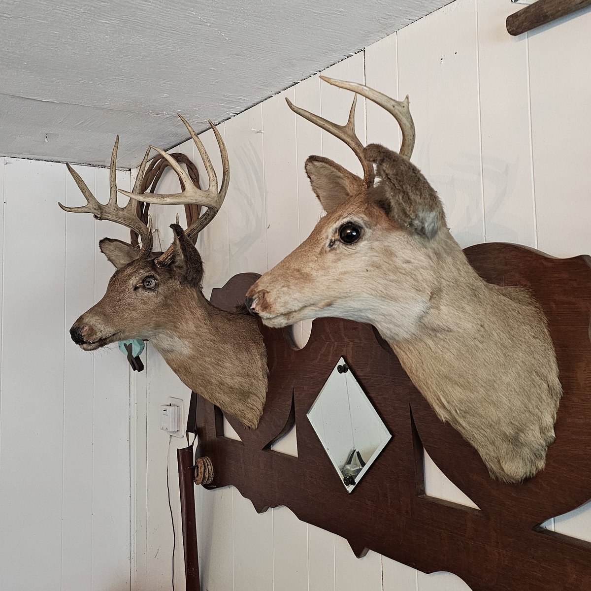 bombsfall's tweet image. went to a camp full of powerful relics