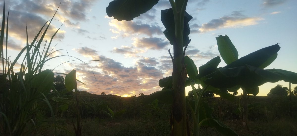 <a href="/ParadiseSquare1/">Paradise Square 🏝️ 94% MINTED🔥</a>