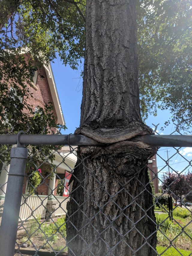 st34lth📺 (@st34lthr4dio) on Twitter photo 