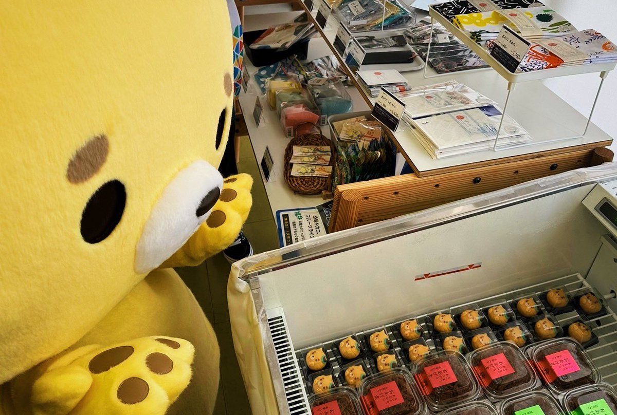 fukui_sakai's tweet photo. 飼い主のみんな、おはよさん🍮🐾
今日からゆりフェスタやざ꒰ᐢ´• ·̭ •`ᐢ꒱ﾉ
繁殖したねり丸も売ってたざ⭐︎

15万輪咲いてるのほんとか数えたいで、
みんな手伝っての꒰ᐢ´• ·̭ •`ᐢ꒱ https://t.co/IA3h5FdrvI