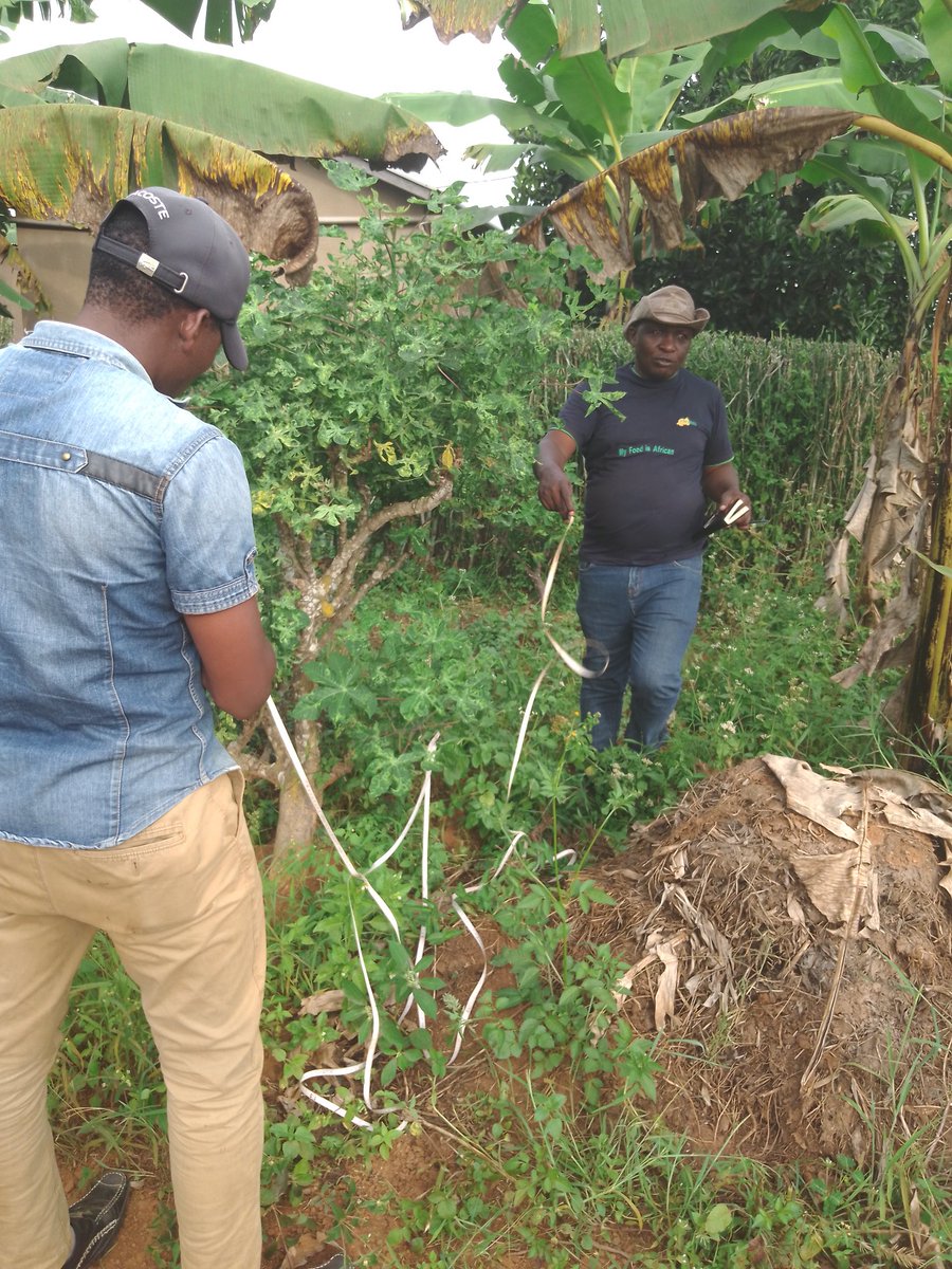 RECOR Rwanda tweet media