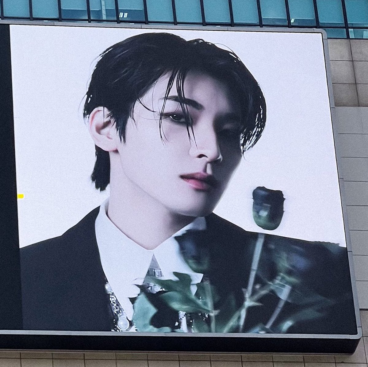 wonubliss's tweet photo. 🤍🖤🤍🖤🤍 https://t.co/xKxr4ZtDqA