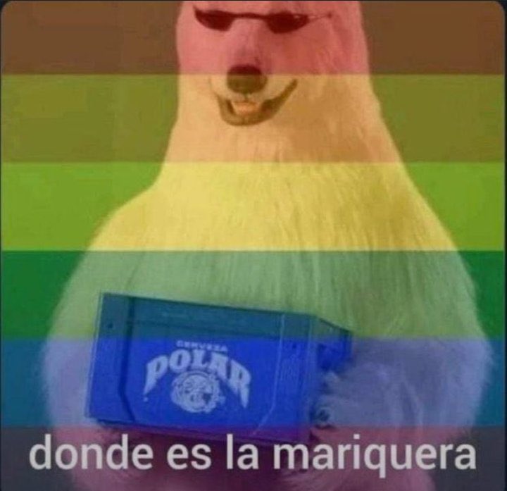 oriveneca's tweet photo. feliz mes del orgullo ! https://t.co/nHtaMHWYzp