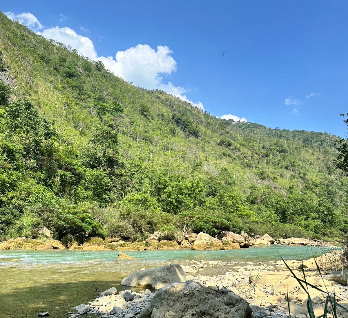 Mình không phủ nhận độ hype của sóng meme nhưng mình cảm giác sóng tăng lần tới đây sẽ là sóng mạnh của coin công nghệ!

Khá nhiều câu chuyện đang liên tục được kể và hint, anh em chịu khó để ý kĩ là sẽ thấy được.

- Câu chuyện Etf thúc đẩy dòng tiền chảy