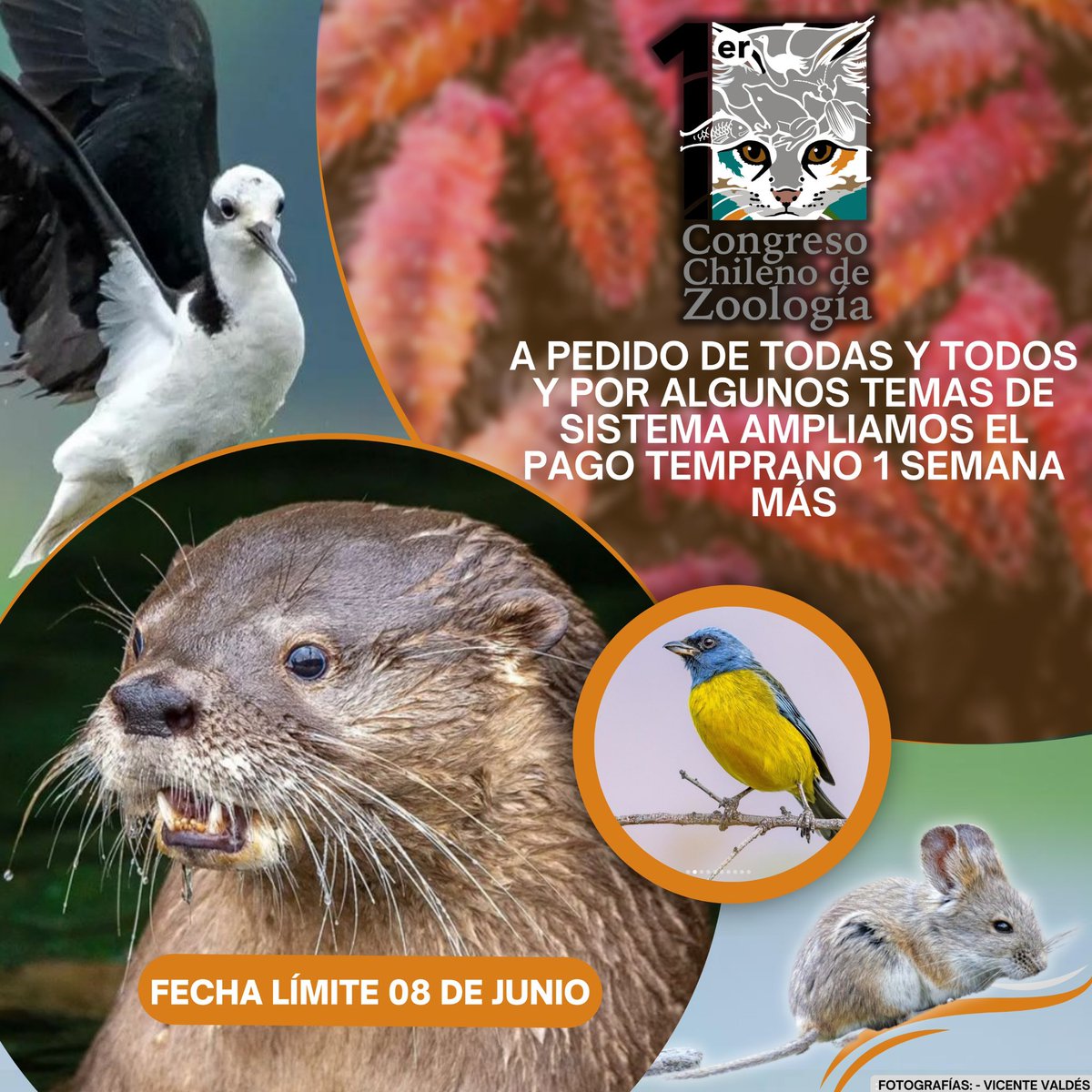 El registro temprano del 1er Congreso Chileno de Zoología tendra 1 semana de extensión!!!!! 🎉🎉🎉🎉😍😍😍🐸🐍🐝🐢🦇🦂🐟🦖🦕 hasta el 8 de Junio 2024 hasta las 23:59!!!! Aprovecha esta oportunidad y se parte de este evento histórico en Chile!! 
Revisa Aquí zoochile2024.cl/inscripcion