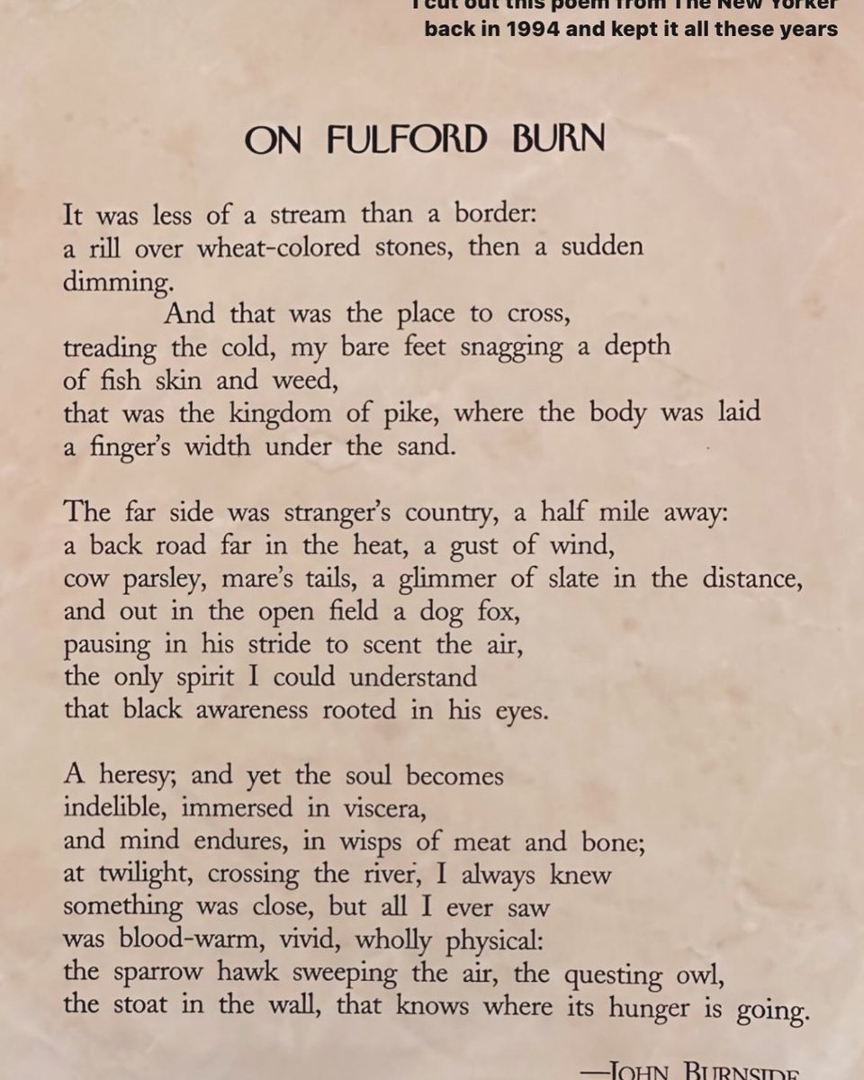 TheParisSpleen's tweet photo. RIP John Burnside 😢 #scottishpoet #scottishpoetry @NewYorker @ligayamishan 🏴󠁧󠁢󠁳󠁣󠁴󠁿 @standrews @AngliaRuskin #johnburnside @penguinrandom @JonathanCape #poetry #contemporarypoetry #tseliotprize @tseliotprize @ForwardPrizes #forwardprize #agendapoetry https://t.co/aVUUukOVIU