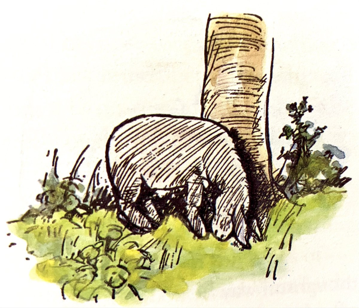 “What’s happened to your tail?” Pooh said in surprise.
“What HAS happened to it?” said Eeyore.
“It isn’t there!”
“That Accounts for a Good Deal,” said Eeyore gloomily. “It Explains Everything. No wonder. Somebody must have taken it. How Like Them.” ~A.A.Milne 
#june1st #saturday