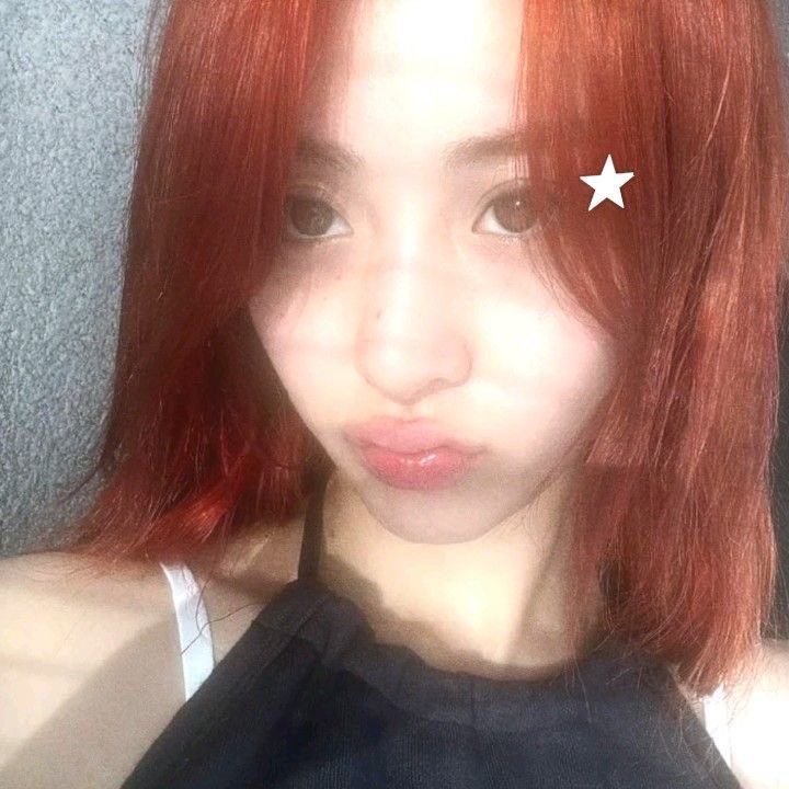 msligaya_'s tweet photo. :¨·.·¨:
 `·. looking for filo moots !
— not new to stan twt
— she/her 
— 🇵🇭 
— teume, carat, engene, onedoor, and others
— #stantwt #kpoptwt

(♡̷̷  +  ↻ to be moots / to spread) https://t.co/SXZDuEaJqq