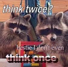 raccoon aesthetic. (@raccoonesthetic) on Twitter photo 