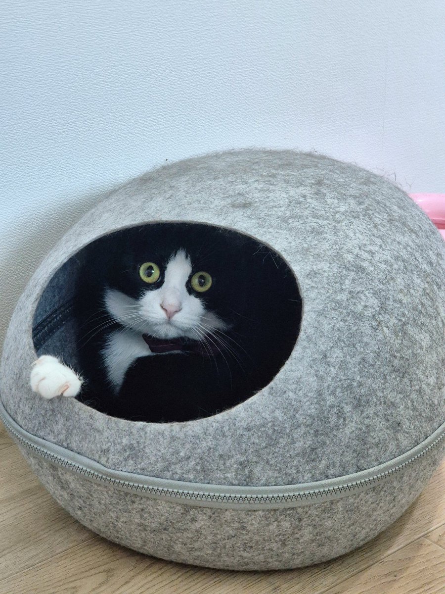 굿모닝 모나☺️