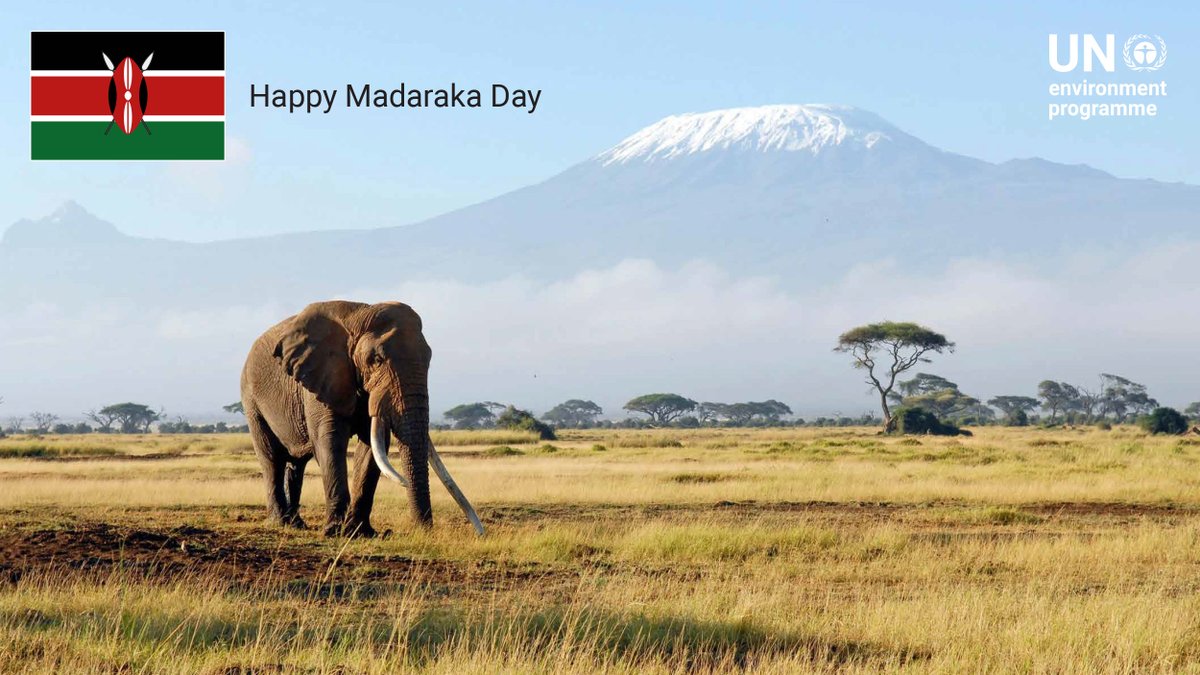 Wishing everyone in Kenya a happy #MadarakaDay. We at <a href="/UNEP/">UN Environment Programme</a> are proud to call Kenya home since our establishment 52 years ago.

Enjoy the #MadarakaDay celebrations! 🇰🇪