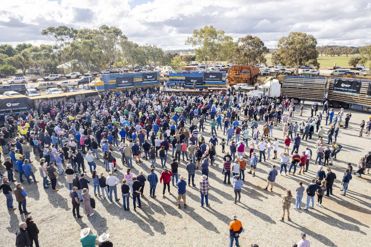 Yesterday will be remembered as one the biggest agricultural protests in Australian history! The convoy stretched over 20km and involved over 1700 vehicles and over 3000 people. Support rural communities and sign the petition now! #keepthesheep