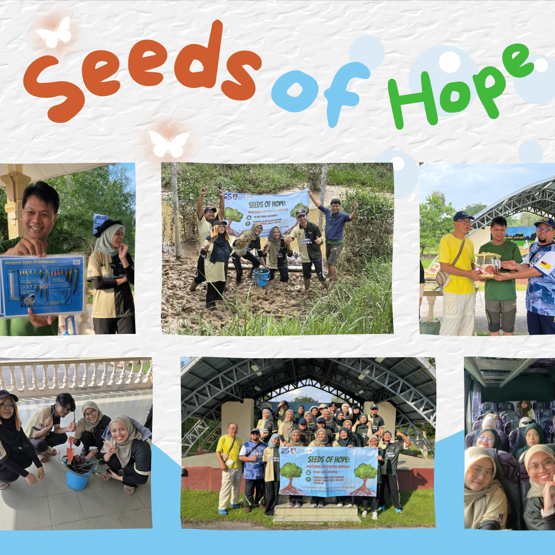 bevauitms3's tweet photo. SEEDS OF HOPE: RESTORING OUR COASTAL HERITAGE anjuran bersama @malaysiannaturesociety https://t.co/b9Dr2HmJk5