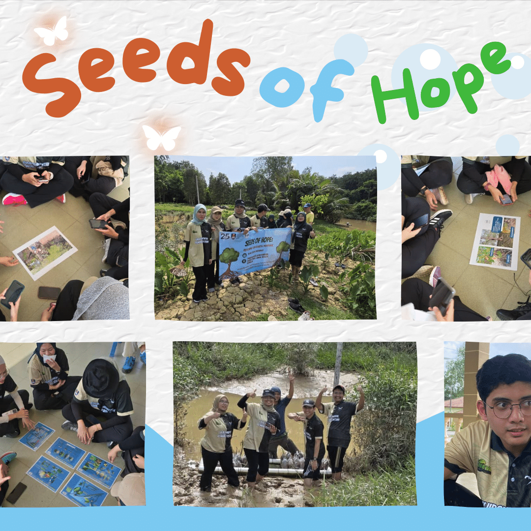 bevauitms3's tweet photo. SEEDS OF HOPE: RESTORING OUR COASTAL HERITAGE anjuran bersama @malaysiannaturesociety https://t.co/b9Dr2HmJk5