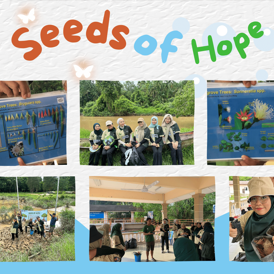 bevauitms3's tweet photo. SEEDS OF HOPE: RESTORING OUR COASTAL HERITAGE anjuran bersama @malaysiannaturesociety https://t.co/b9Dr2HmJk5